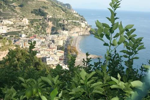 Amalfi Sentiero dei limoni
