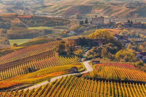 FEAST wine tours Italy