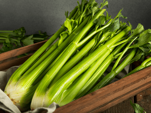 FEAST - Celery